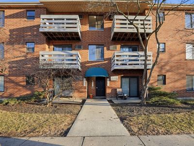 1367 N Winslowe Dr Unit 204, Palatine, IL, 60074