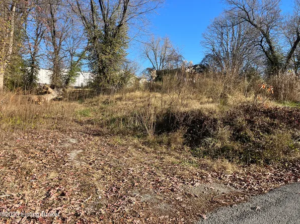 609 Leavette Ave, Leitchfield, KY 42754