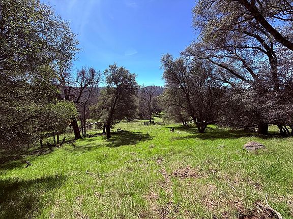 3rd image of 2901 Cedar Creek Rd