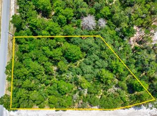 200 Whispering Pines Rd LOT 11, Georgetown, FL 32139