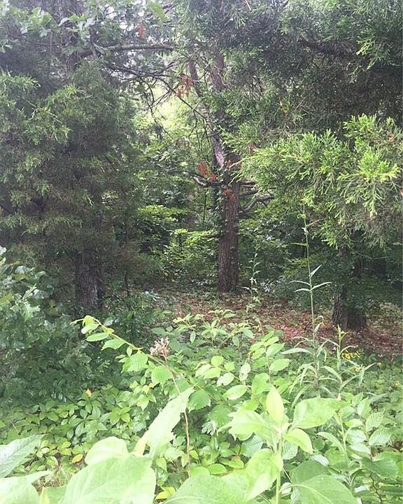 1st image of Scotsdale Dr