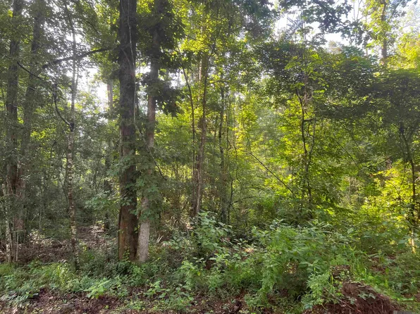 LOT 3 Hepzibah Rd, Clinton, LA 70722