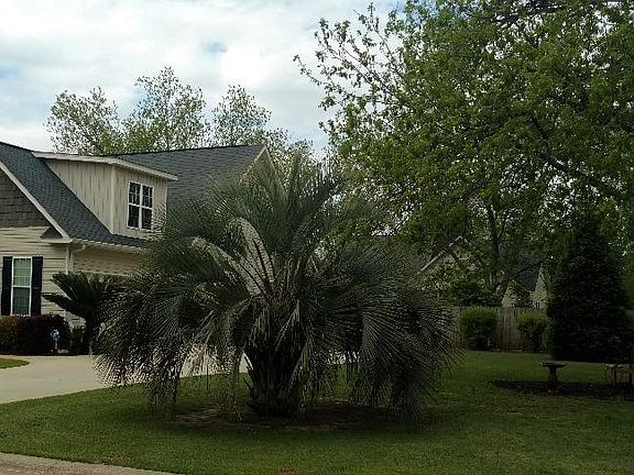 Side yard with sitting area