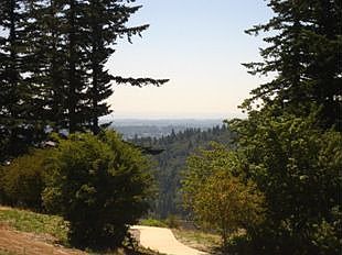 VIEW FROM BACKYARD