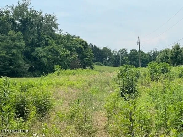 142 Pleasant View Cemetery Rd, New Market, TN 37820