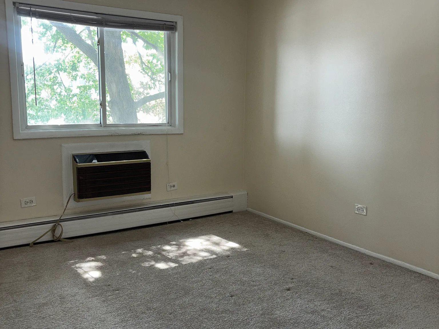 1 bed, 1.0 bath, $1,595 — Photo 3