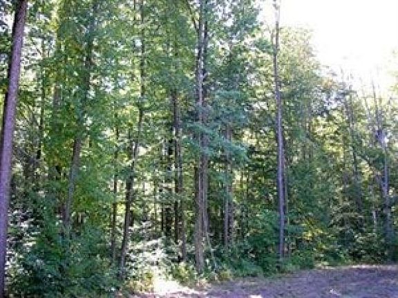 4th image of 16 Forest Dr
