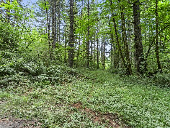 3rd image of 56570 NW Strassel Rd
