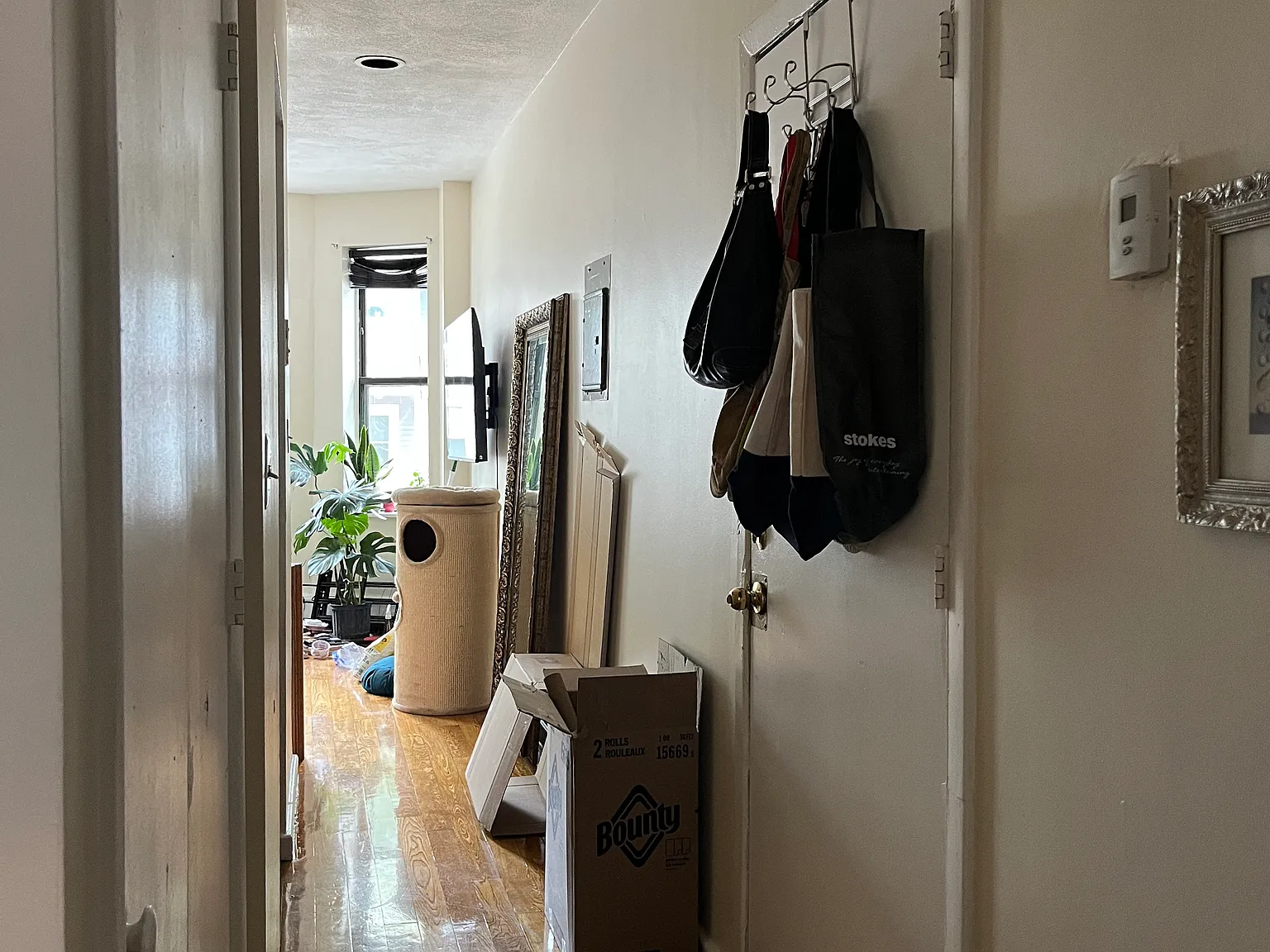 2 bed, 805 sqft, $1,200 — Photo 3