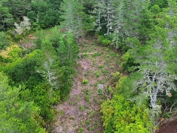 4 Bonnett Way, Florence, OR 97439