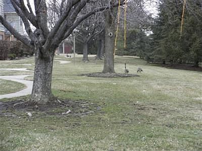 4th image of 7796 Thomas Jefferson Ln