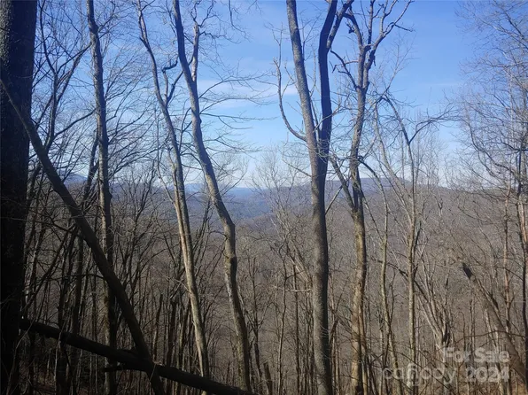 34 Barn Cove Rd, Clyde, NC 28721