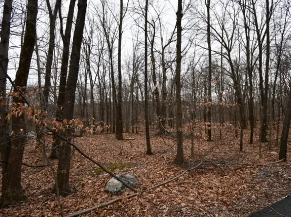 2 Brook Dr, Blairstown Twp., NJ 07825