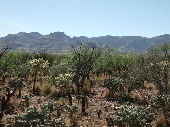 1820 Camino Chile, Rio Rico, AZ 85648