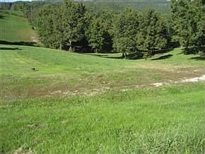 Over 8 acres