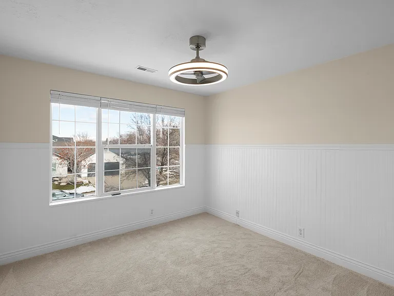 E Candle Spruce Cv — Photo 16