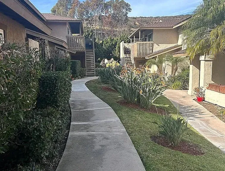 8009 Calle Fanita — Photo 3