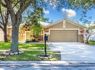 2634 Brookville Dr, Valrico, FL 33596