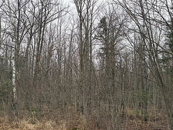 4th image of ON N Hofer Road