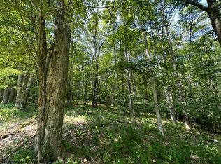 106 & 107 Lakeview Dr, Terra Alta, WV 26764