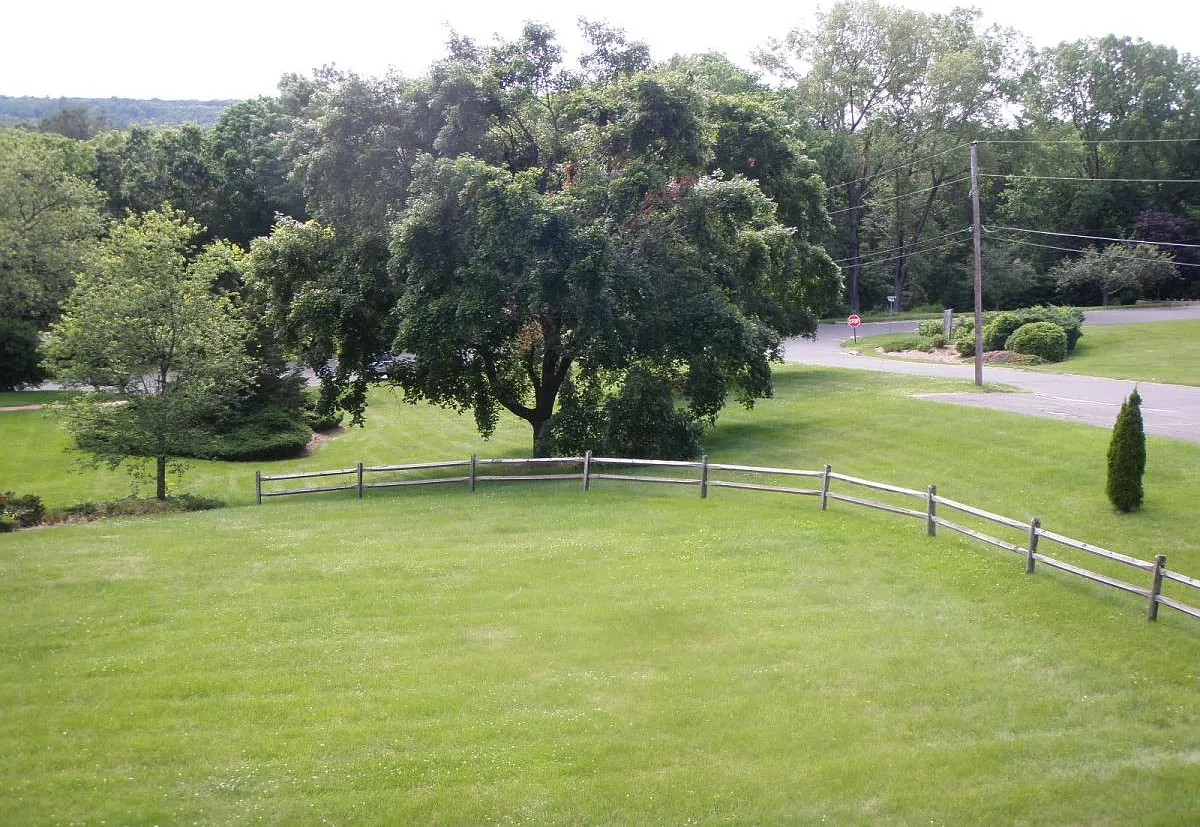 1 bed, 600 sqft, $1,800 — Photo 3
