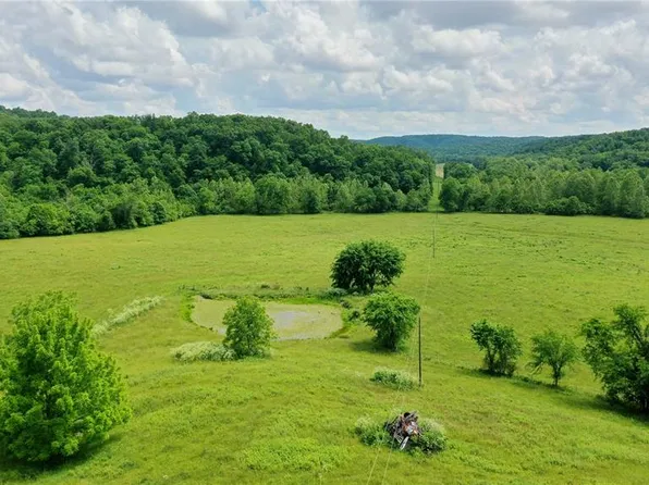 11889 County Road 264a, Salem, MO 65560