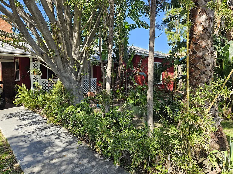 Daisy Ave — Photo 8