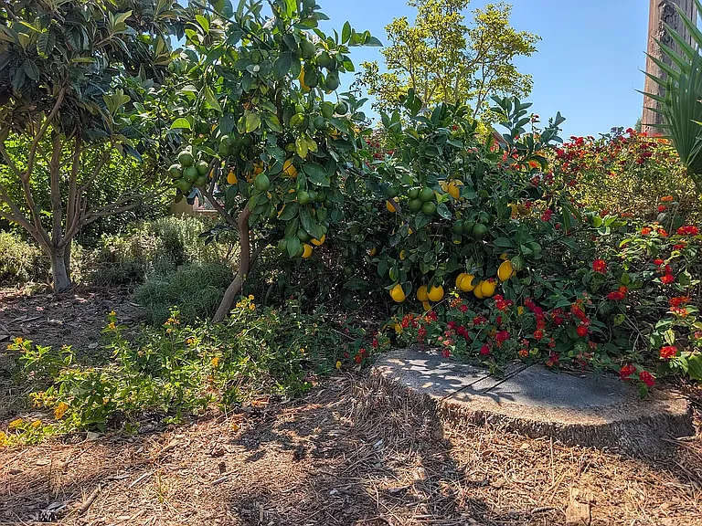 2336 W Orange Dr N — Photo 58