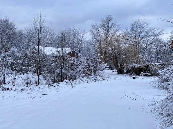 11868 Bailey Rd, Ravenna, MI 49451