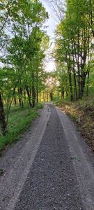 5 Hideaway Trl, Slatyfork, WV, 26291