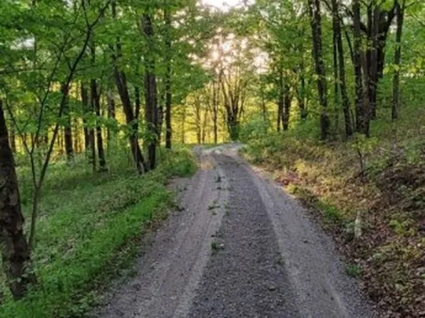 4 Hideaway Trl, Slatyfork, WV 26291
