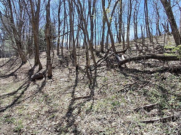 4th image of 0 Big Ridge Rd
