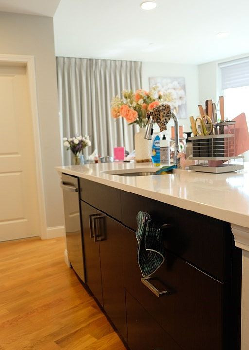 10 Taber St Roxbury, MA, 02119 Apartments for Rent Zillow