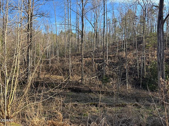 4th image of TRACT 1 Bull Mountain Rd