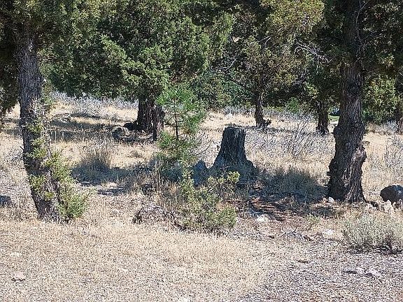 2nd image of 4/520 Indian Hill Dr