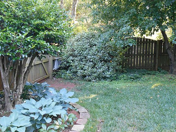 SW corner of back yard
