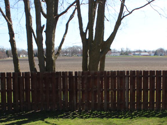 Backyard view