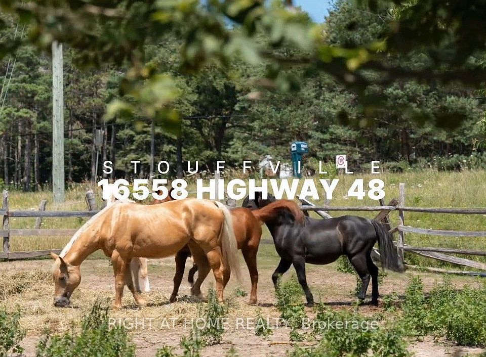 1st image of 16558 Highway 48