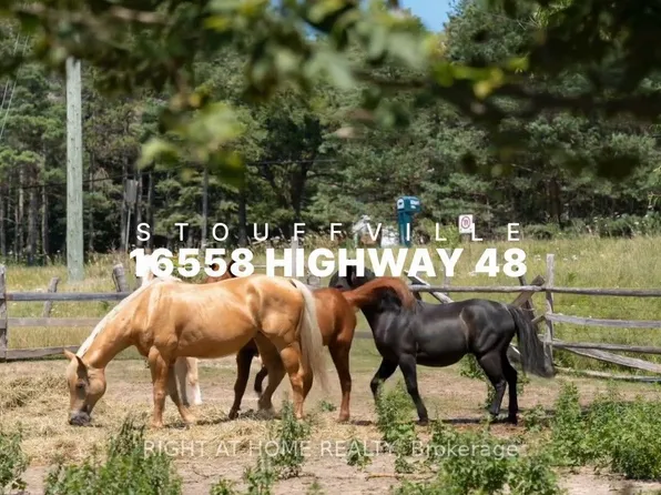 16558 Highway 48, Whitchurch Stouffville, ON L4A 3M6