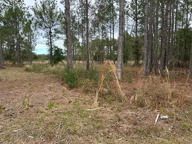 1st image of Otter Dr Lot 57