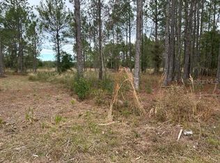 Otter Dr LOT 57, Webster, FL 33597