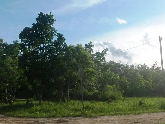3rd image of 11121 Bayou View Dr E