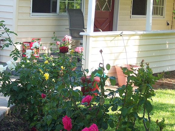 Front side rose view