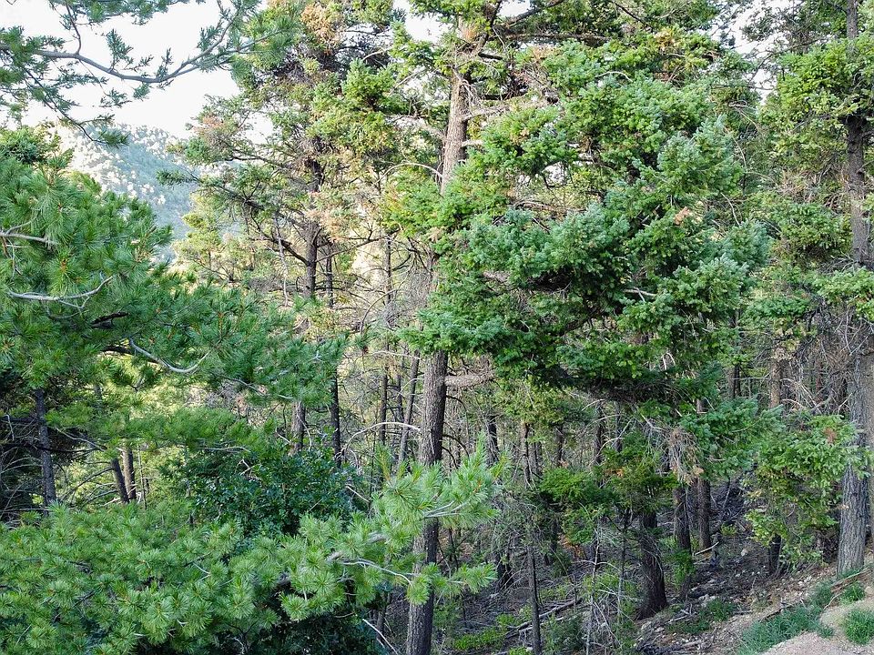 LOT 4 Henry Summit Dr, High Rolls Mountain Park, NM 88325 MLS 168271