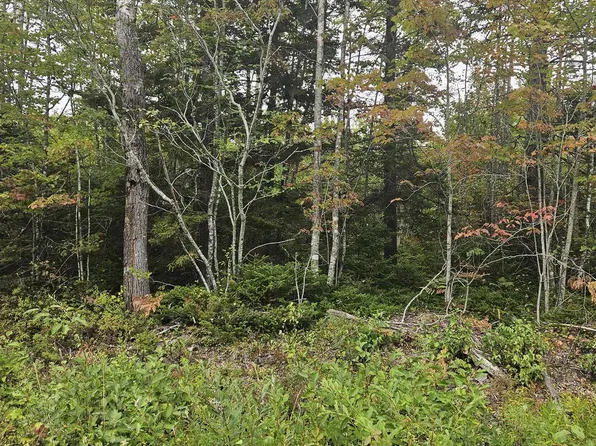 211 Bennie Muckle Rd, West Hants, NS B0N 2R0