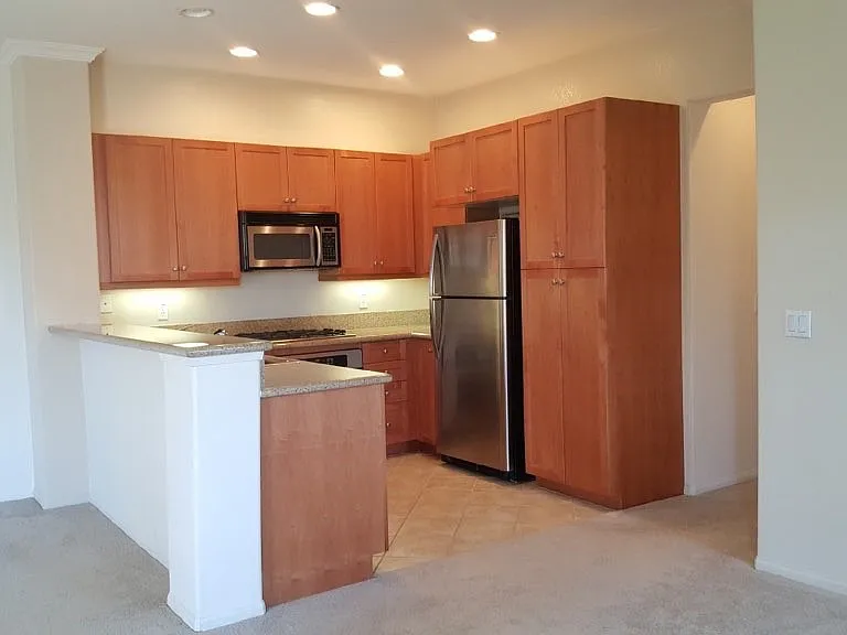 12671 Savannah Creek Dr #252 — Photo 5