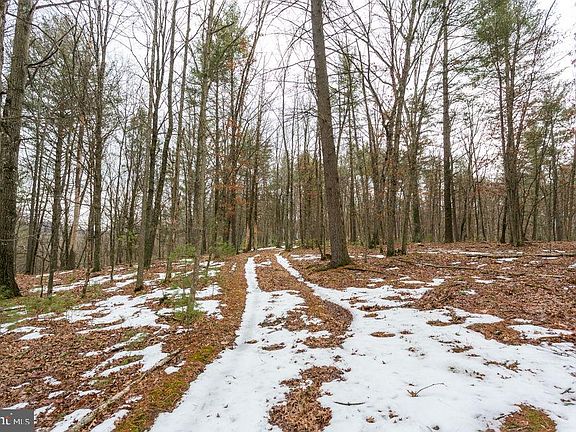 3rd image of LOT 44 Rainbow Ridge Rd