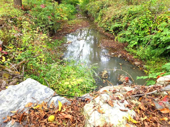 Sunfish Trl, Pence Springs, WV 24962