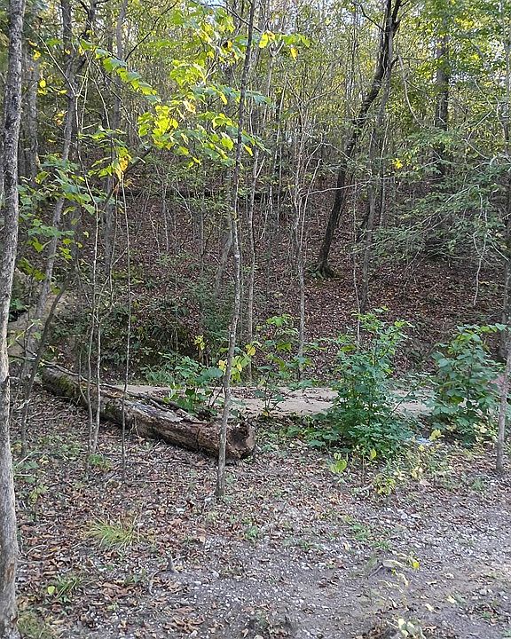 2nd image of 8 Deerwood Run