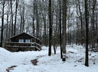 217 Bald Eagle Forest Rd, Blanchard, PA 16826